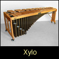 Xylo 