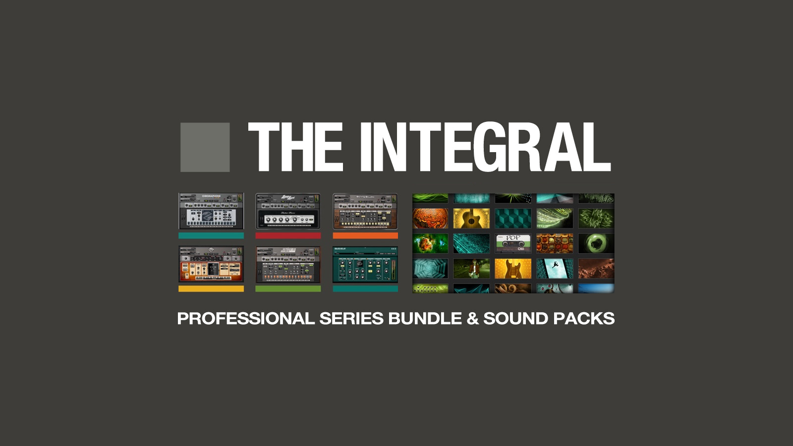 THE INTEGRAL