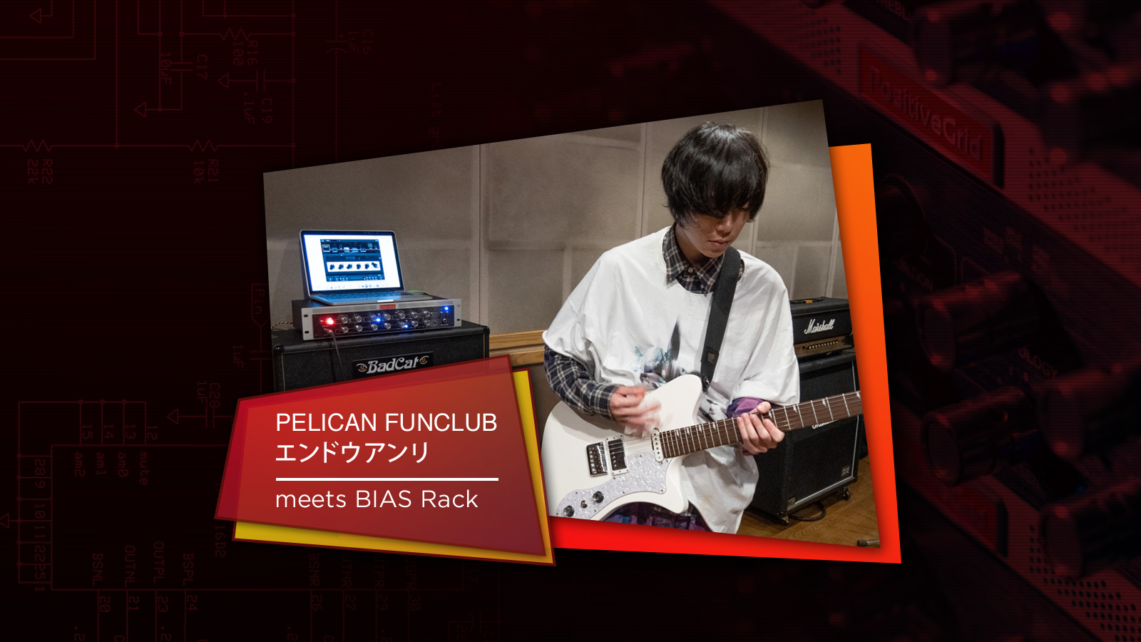 PELICAN FANCLUB エンドウアンリ meets BIAS Rack