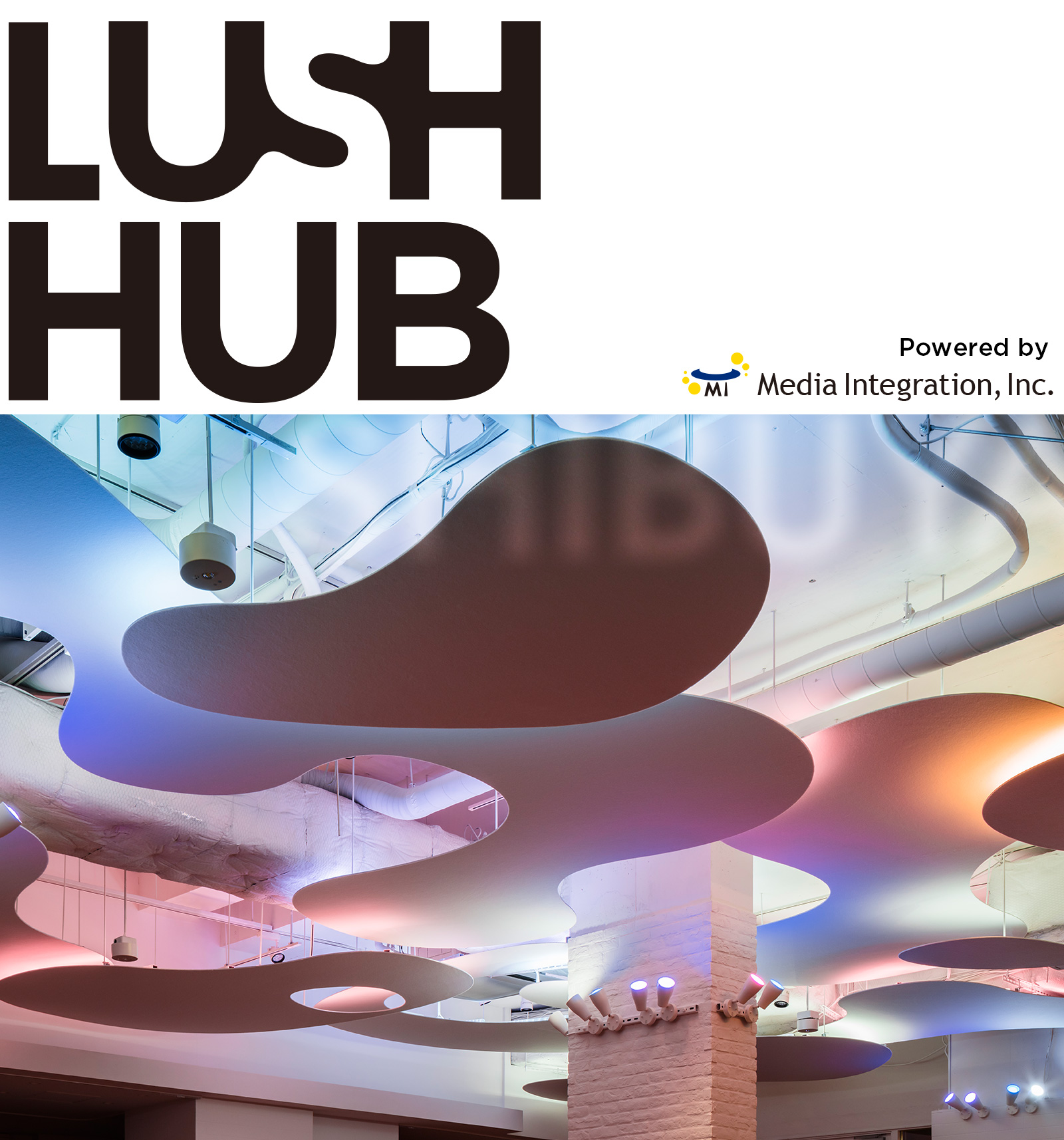 LushHub