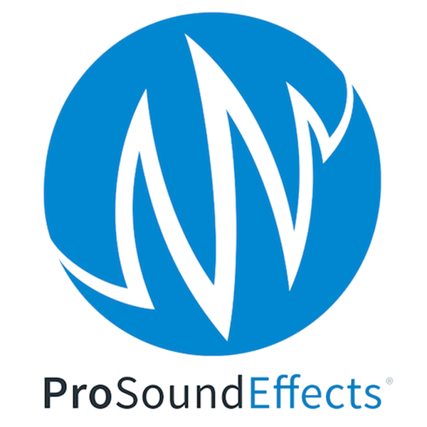 Pro Sound Effect logo