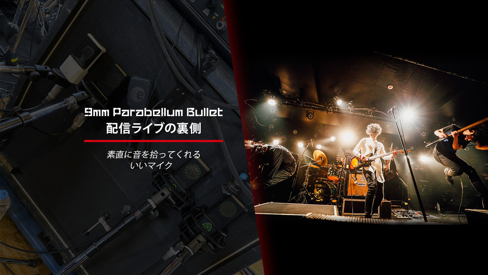 9mm Parabellum Bullet 配信ライブの裏側：Lewitt編