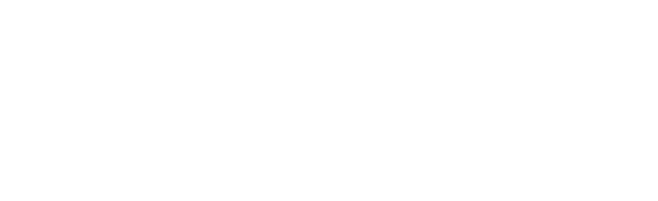 Project BIAS X