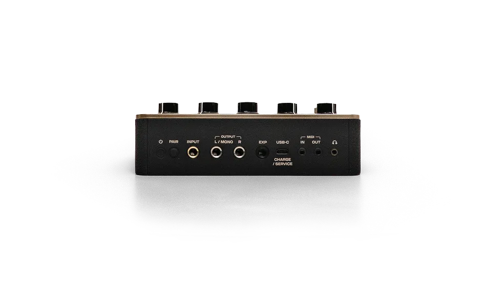 Back Panel
